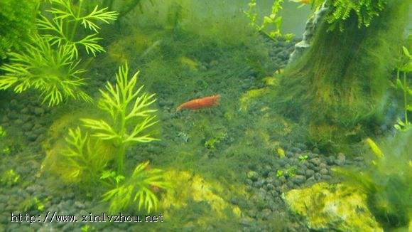 ���＼�g�͚������儩��ˮ̎��ˎ���еđ���