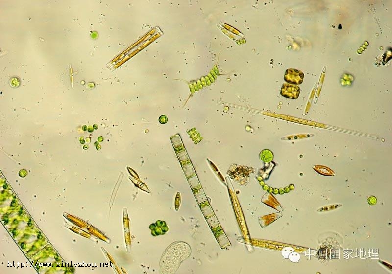 �������儩�Ĝ���ԭ��